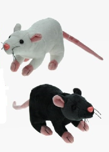 Plüschtier ratte maus - ratte, /